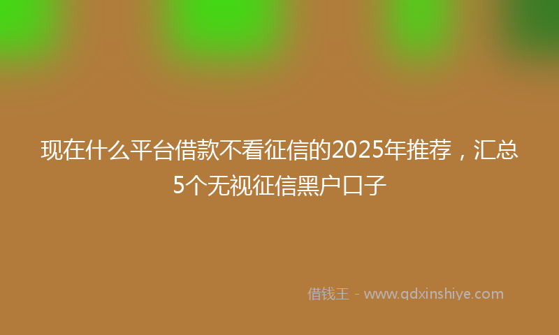 现在什么平台借款不看征信的2025年推荐，汇总5个无视征信黑户口子
