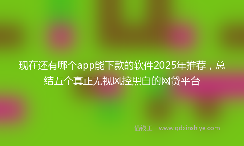 现在还有哪个app能下款的软件2025年推荐,总结五个真正无视风控黑白的网贷平台