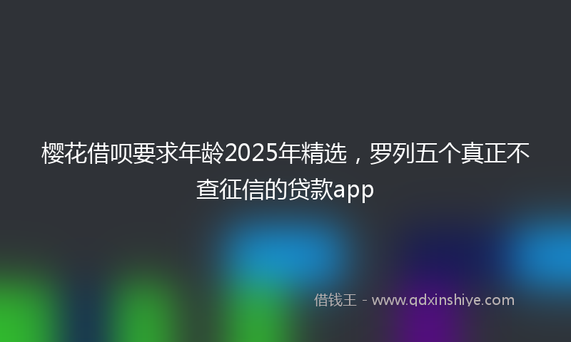 樱花借呗要求年龄2025年精选，罗列五个真正不查征信的贷款app