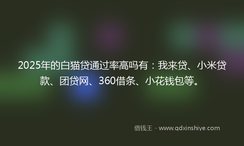 2025年的白猫贷通过率高吗有：我来贷、小米贷款、团贷网、360借条、小花钱包等。