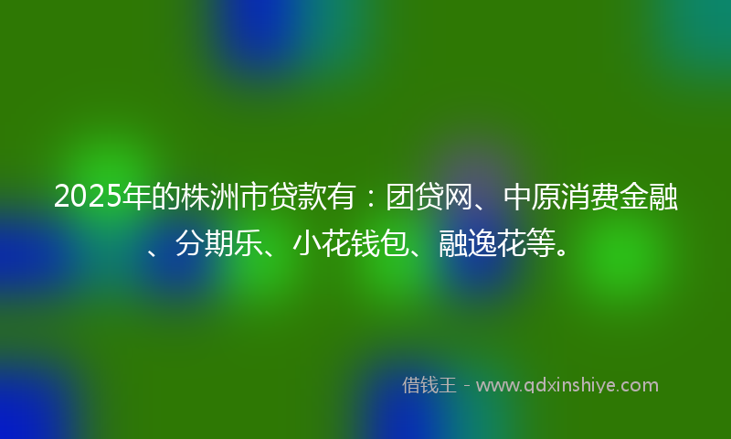 2025年的株洲市贷款有：团贷网、中原消费金融、分期乐、小花钱包、融逸花等。