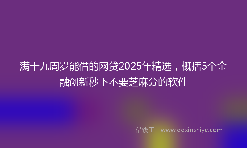 满十九周岁能借的网贷2025年精选，概括5个金融创新秒下不要芝麻分的软件