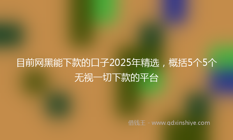目前网黑能下款的口子2025年精选，概括5个5个无视一切下款的平台