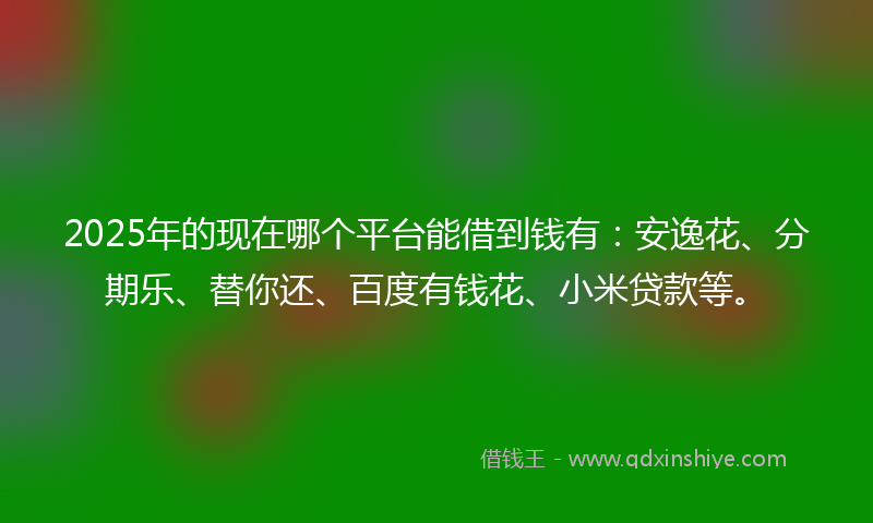 2025年的现在哪个平台能借到钱有:安逸花、分期乐、替你还、百度有钱花、小米贷款等。