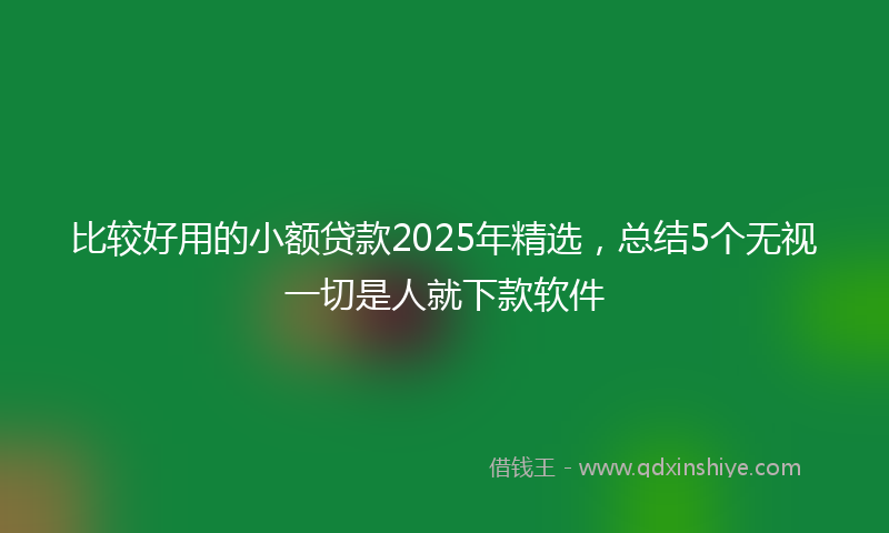 比较好用的小额贷款2025年精选，总结5个无视一切是人就下款软件