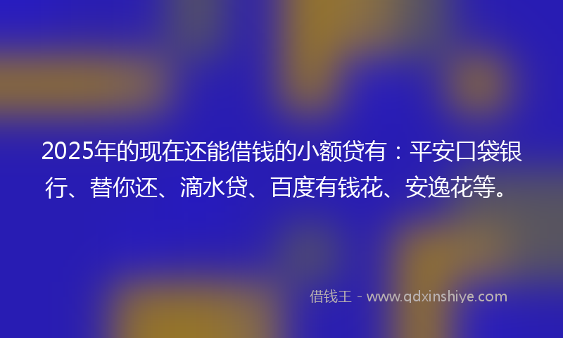 2025年的现在还能借钱的小额贷有：平安口袋银行、替你还、滴水贷、百度有钱花、安逸花等。