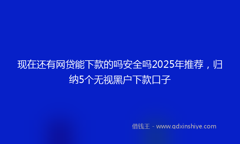 现在还有网贷能下款的吗安全吗2025年推荐，归纳5个无视黑户下款口子