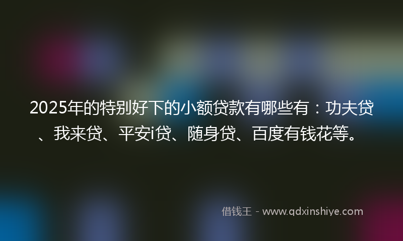 2025年的特别好下的小额贷款有哪些有：功夫贷、我来贷、平安i贷、随身贷、百度有钱花等。