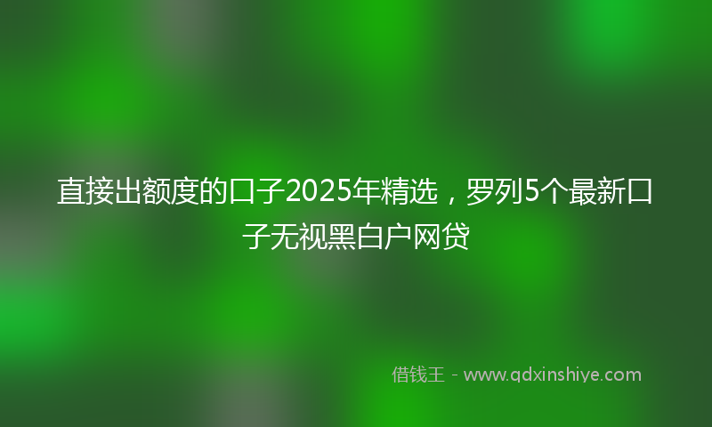直接出额度的口子2025年精选，罗列5个最新口子无视黑白户网贷