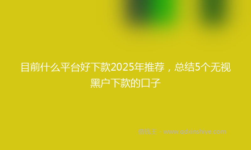 目前什么平台好下款2025年推荐，总结5个无视黑户下款的口子