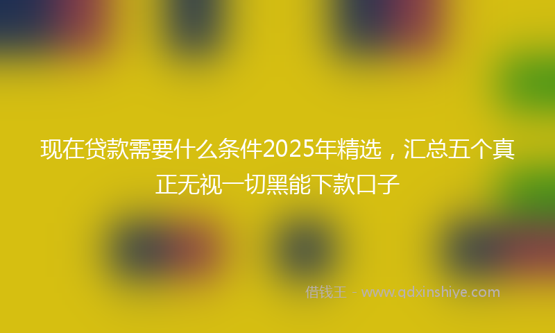现在贷款需要什么条件2025年精选，汇总五个真正无视一切黑能下款口子