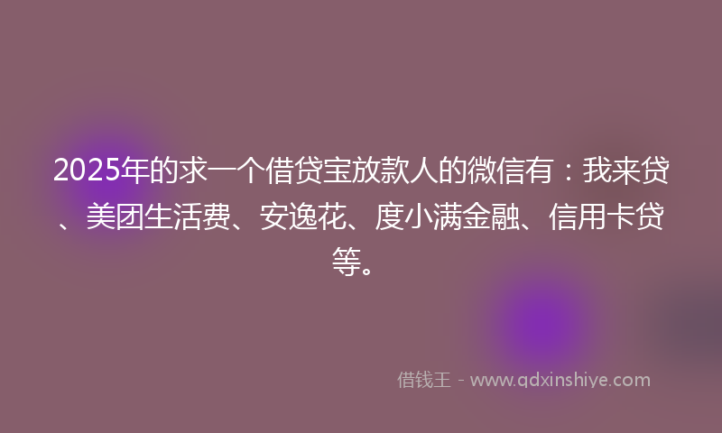 2025年的求一个借贷宝放款人的微信有：我来贷、美团生活费、安逸花、度小满金融、信用卡贷等。