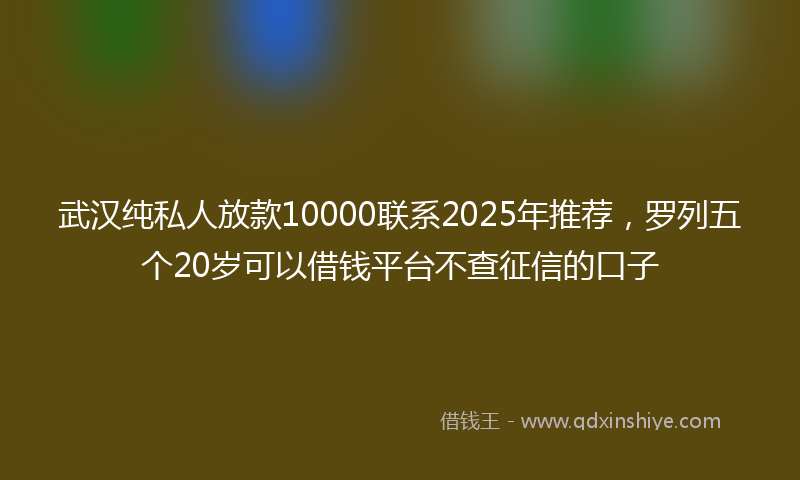 武汉纯私人放款10000联系2025年推荐，罗列五个20岁可以借钱平台不查征信的口子