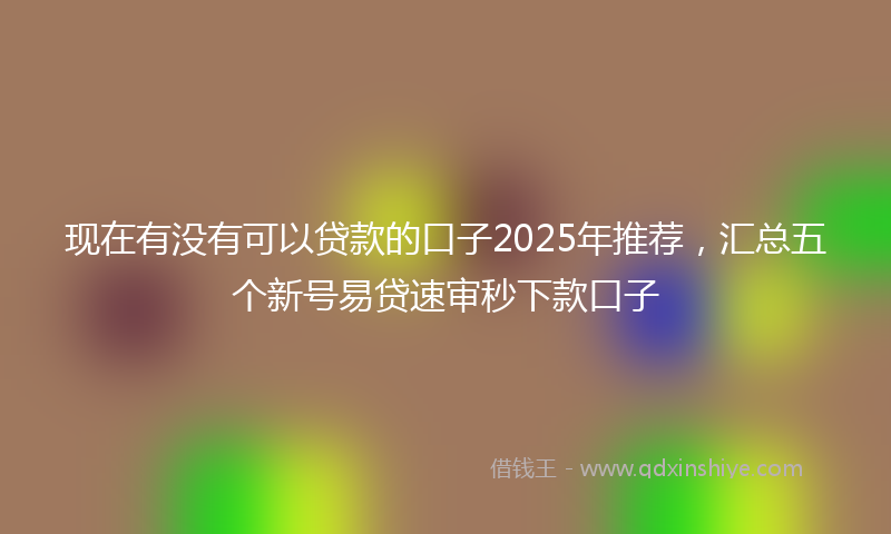 现在有没有可以贷款的口子2025年推荐，汇总五个新号易贷速审秒下款口子