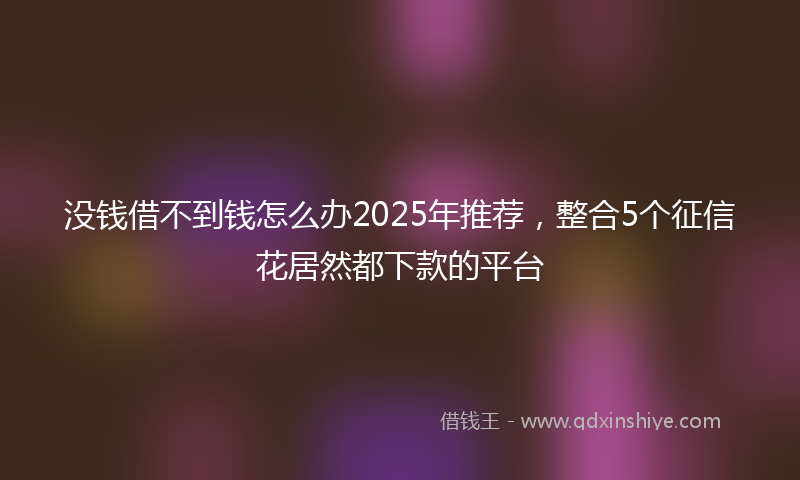 没钱借不到钱怎么办2025年推荐，整合5个征信花居然都下款的平台