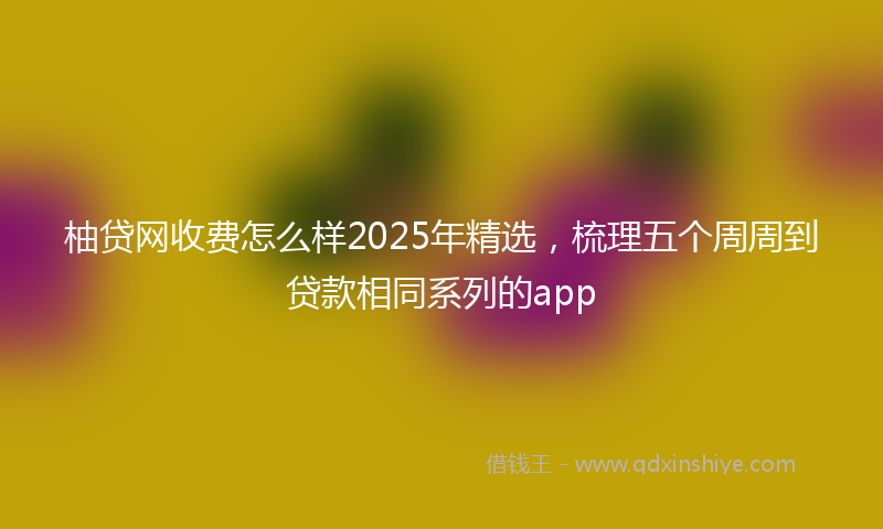 柚贷网收费怎么样2025年精选，梳理五个周周到贷款相同系列的app