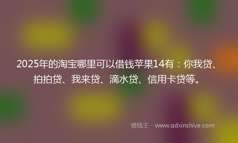 2025年的淘宝哪里可以借钱苹果14有：你我贷、拍拍贷、我来贷、滴水贷、信用卡贷等。