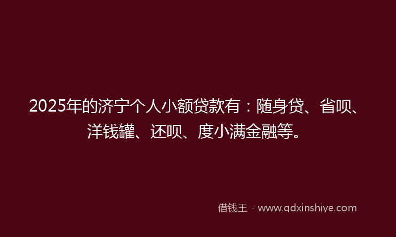 2025年的济宁个人小额贷款有：随身贷、省呗、洋钱罐、还呗、度小满金融等。