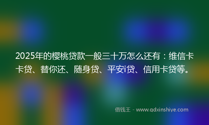 2025年的樱桃贷款一般三十万怎么还有：维信卡卡贷、替你还、随身贷、平安i贷、信用卡贷等。