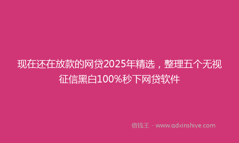 现在还在放款的网贷2025年精选，整理五个无视征信黑白100%秒下网贷软件