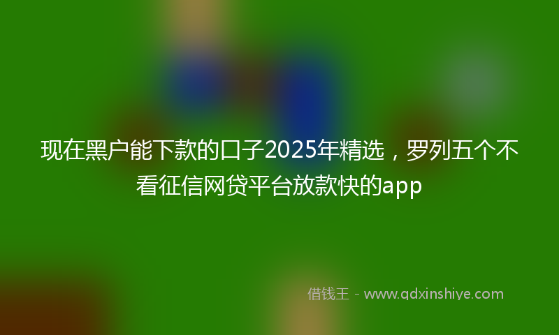 现在黑户能下款的口子2025年精选，罗列五个不看征信网贷平台放款快的app