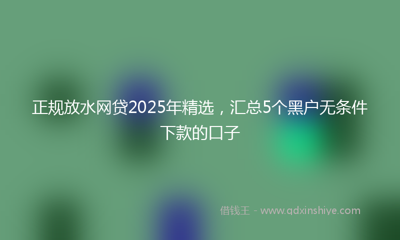正规放水网贷2025年精选，汇总5个黑户无条件下款的口子