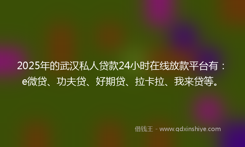2025年的武汉私人贷款24小时在线放款平台有：e微贷、功夫贷、好期贷、拉卡拉、我来贷等。