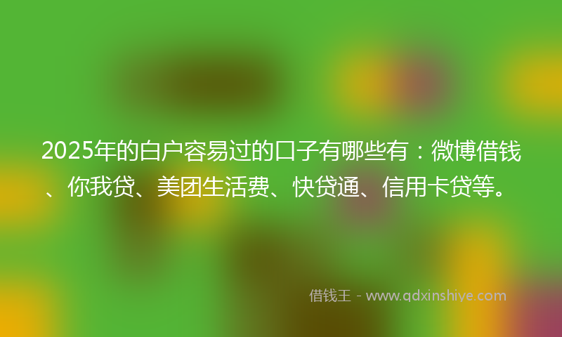 2025年的白户容易过的口子有哪些有：微博借钱、你我贷、美团生活费、快贷通、信用卡贷等。