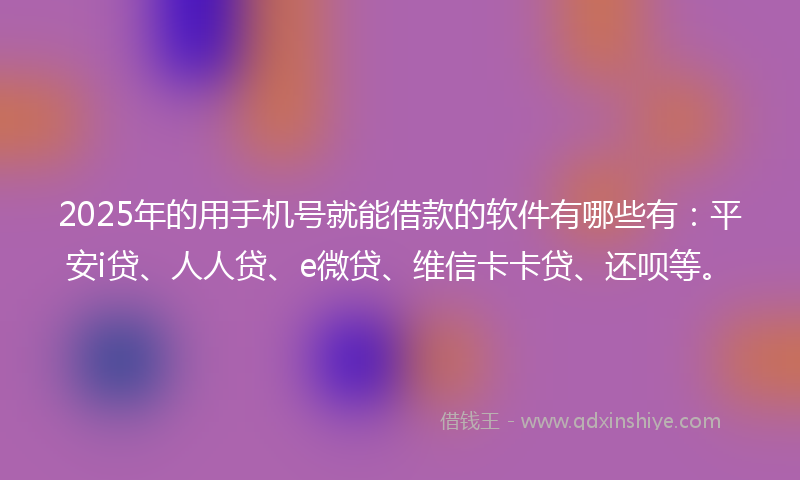 2025年的用手机号就能借款的软件有哪些有：平安i贷、人人贷、e微贷、维信卡卡贷、还呗等。