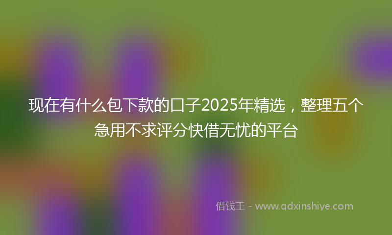 现在有什么包下款的口子2025年精选，整理五个急用不求评分快借无忧的平台