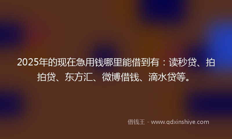 2025年的现在急用钱哪里能借到有：读秒贷、拍拍贷、东方汇、微博借钱、滴水贷等。