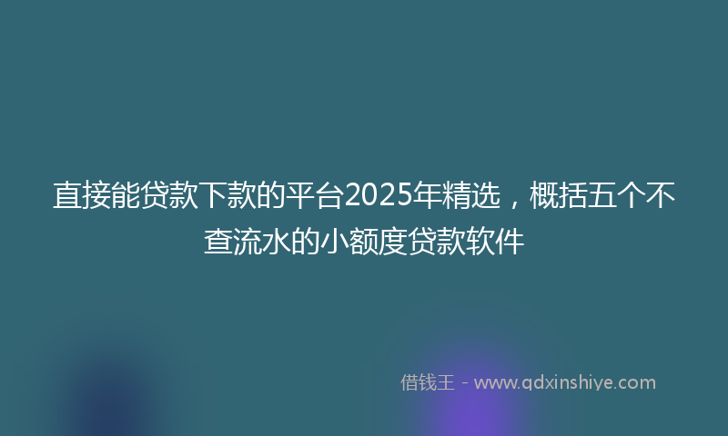 直接能贷款下款的平台2025年精选，概括五个不查流水的小额度贷款软件