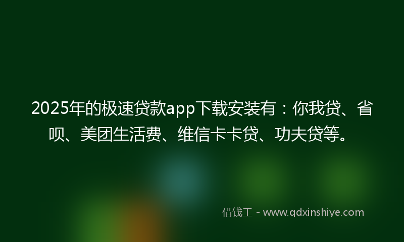 2025年的极速贷款app下载安装有：你我贷、省呗、美团生活费、维信卡卡贷、功夫贷等。