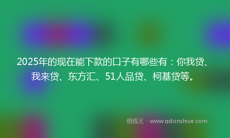 2025年的现在能下款的口子有哪些有：你我贷、我来贷、东方汇、51人品贷、柯基贷等。