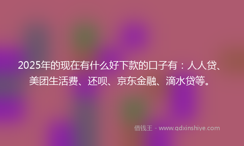2025年的现在有什么好下款的口子有：人人贷、美团生活费、还呗、京东金融、滴水贷等。