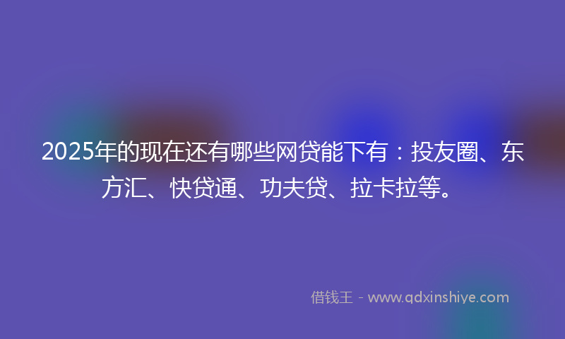 2025年的现在还有哪些网贷能下有：投友圈、东方汇、快贷通、功夫贷、拉卡拉等。