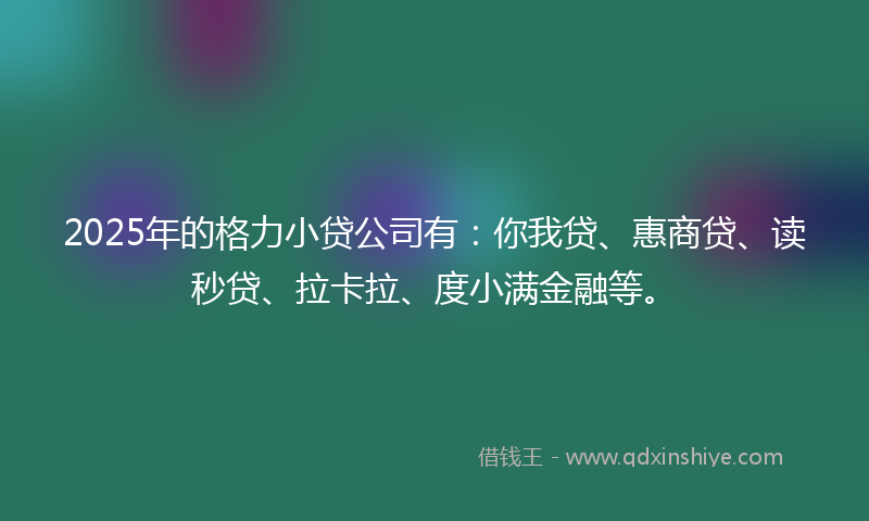 2025年的格力小贷公司有：你我贷、惠商贷、读秒贷、拉卡拉、度小满金融等。