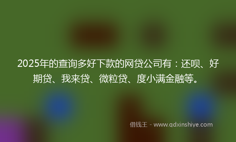 2025年的查询多好下款的网贷公司有：还呗、好期贷、我来贷、微粒贷、度小满金融等。
