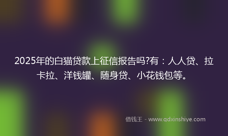 2025年的白猫贷款上征信报告吗?有：人人贷、拉卡拉、洋钱罐、随身贷、小花钱包等。
