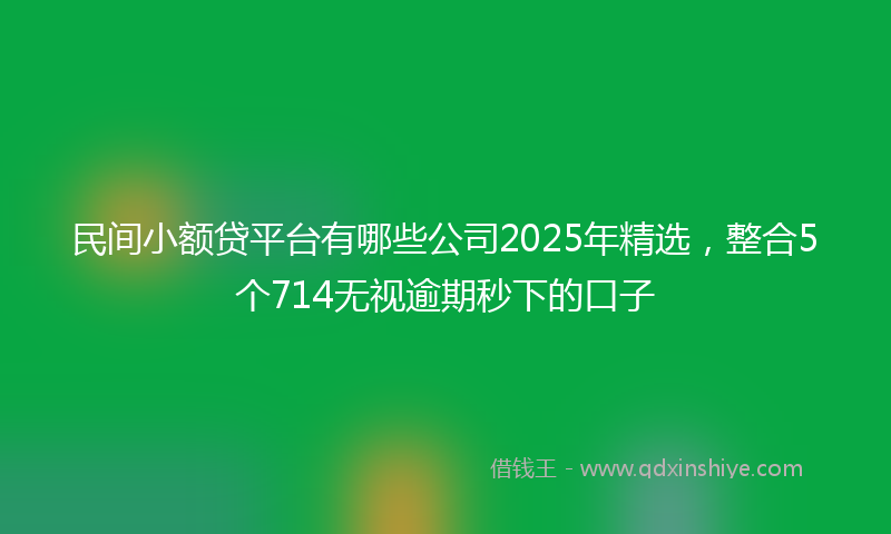 民间小额贷平台有哪些公司2025年精选,整合5个714无视逾期秒下的口子