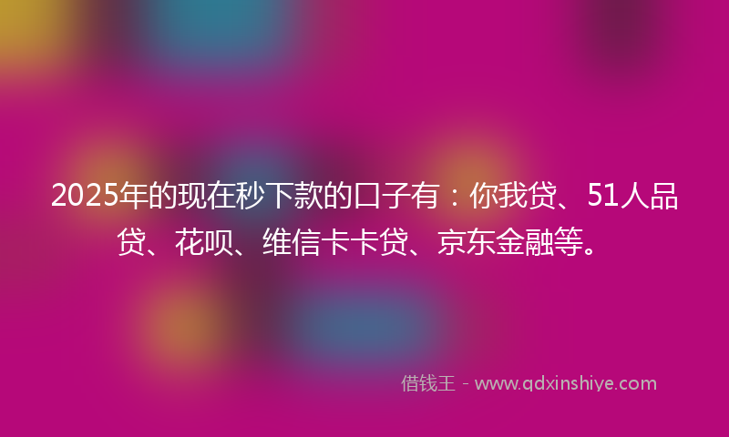 2025年的现在秒下款的口子有：你我贷、51人品贷、花呗、维信卡卡贷、京东金融等。