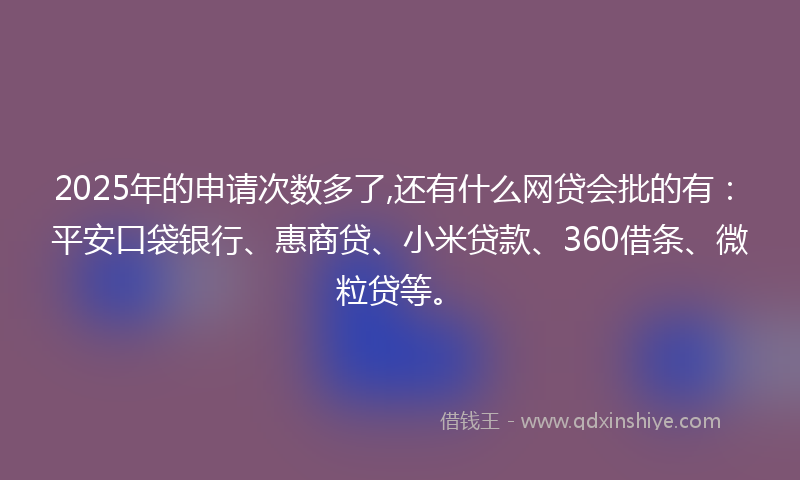 2025年的申请次数多了,还有什么网贷会批的有：平安口袋银行、惠商贷、小米贷款、360借条、微粒贷等。