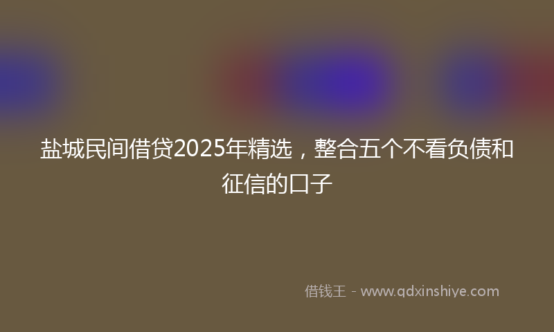 盐城民间借贷2025年精选，整合五个不看负债和征信的口子