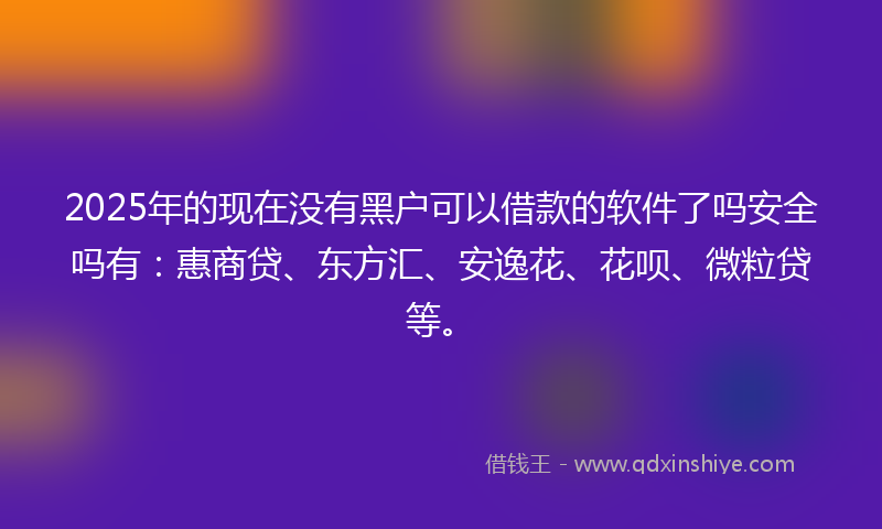 2025年的现在没有黑户可以借款的软件了吗安全吗有：惠商贷、东方汇、安逸花、花呗、微粒贷等。