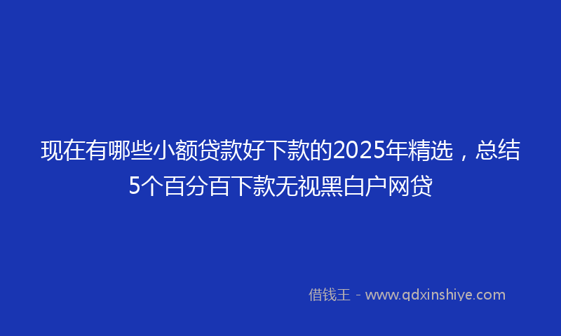现在有哪些小额贷款好下款的2025年精选，总结5个百分百下款无视黑白户网贷