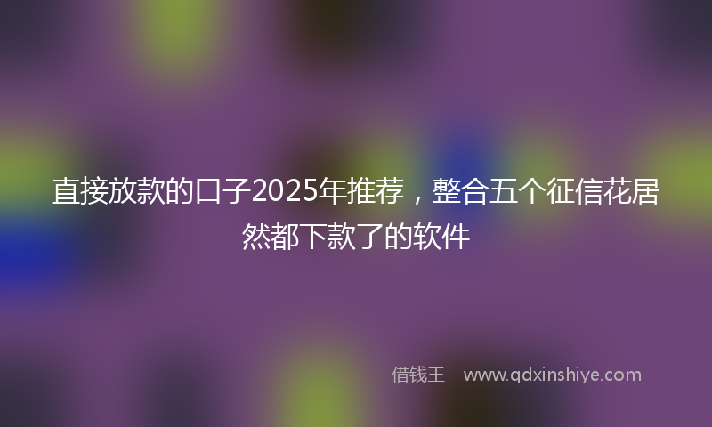 直接放款的口子2025年推荐，整合五个征信花居然都下款了的软件