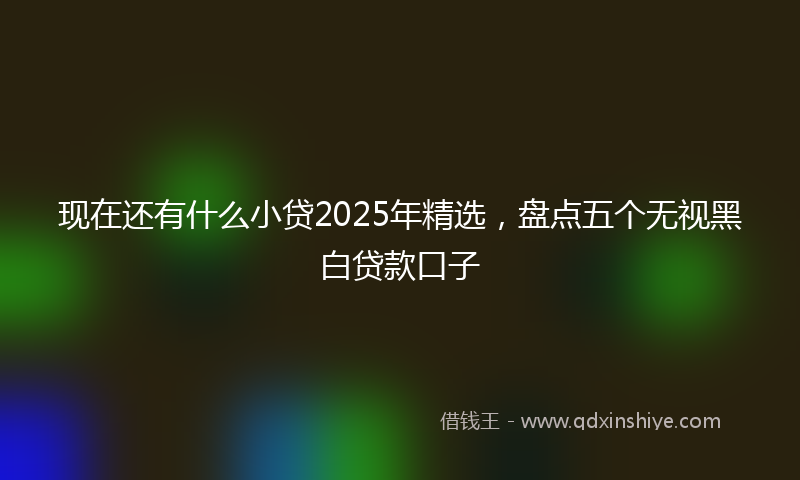 现在还有什么小贷2025年精选，盘点五个无视黑白贷款口子