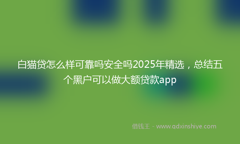 白猫贷怎么样可靠吗安全吗2025年精选，总结五个黑户可以做大额贷款app