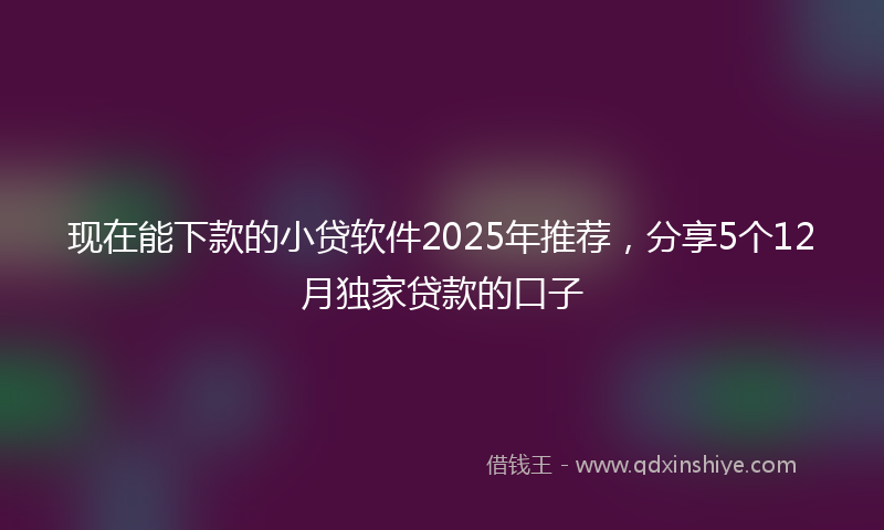 现在能下款的小贷软件2025年推荐，分享5个12月独家贷款的口子