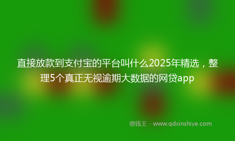 直接放款到支付宝的平台叫什么2025年精选，整理5个真正无视逾期大数据的网贷app